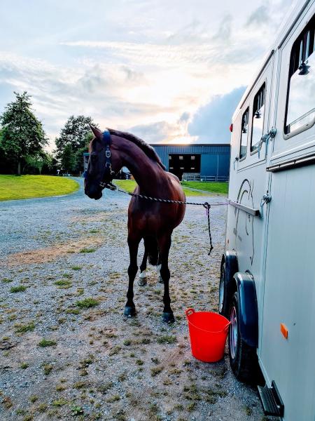 Kings Equestrian Centre