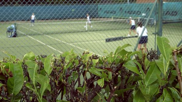 Andover Lawn Tennis Club