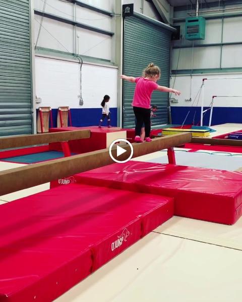 Sheffield Gymnastics Academy