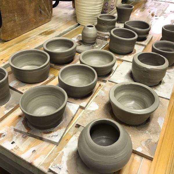 Potting Shed Studio
