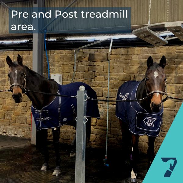 Seven Mile Equine Fitness & Rehabilitation Centre