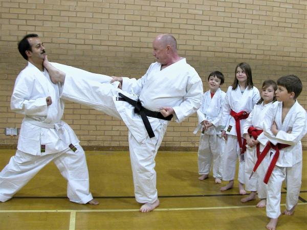 SKA Karate Masters Potters Bar