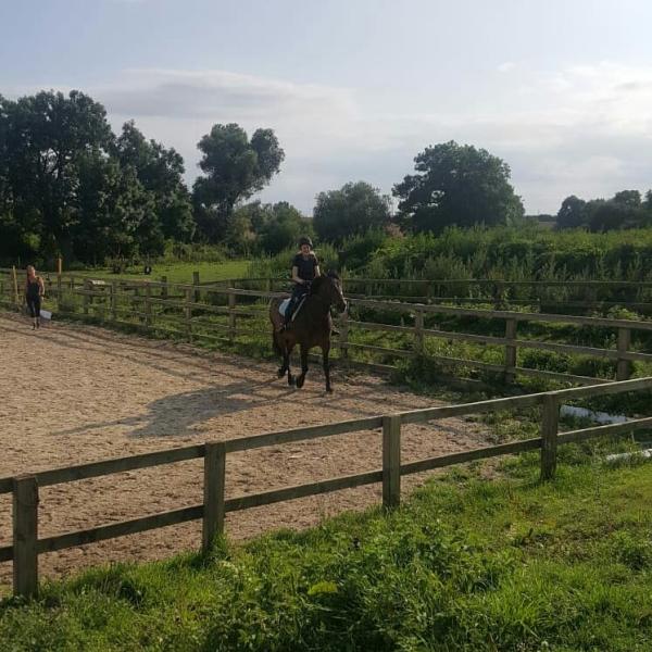 Red Piece Equestrian Stables