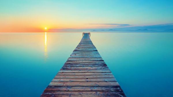 Little Bird Yoga With Wendy McDonnell