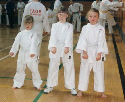 The Mark Farnham Schools of Tae Kwon Do