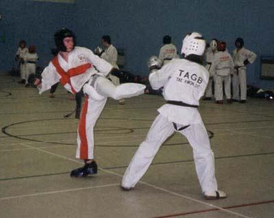 The Mark Farnham Schools of Tae Kwon Do