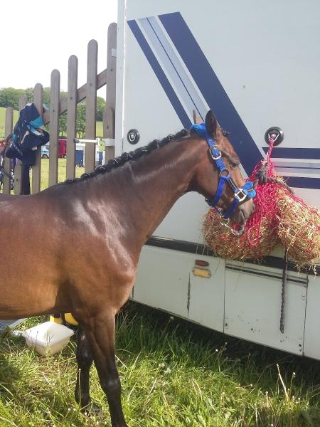 Gorse Farm Equestrian Centre