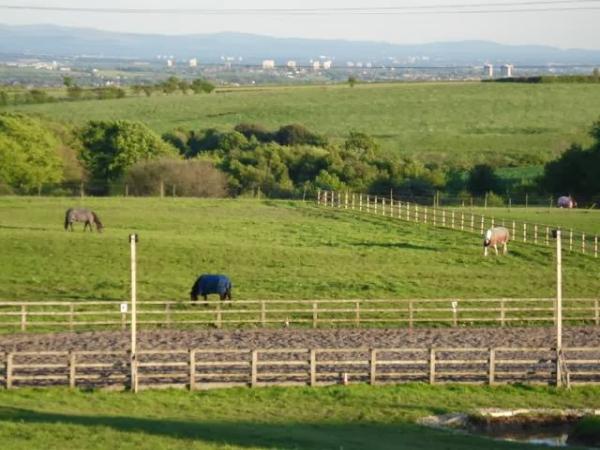 Top O'Th Meadow Farm