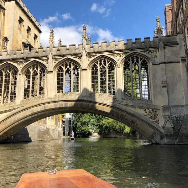 Cambridge Academic Tuition