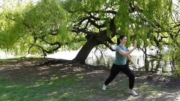 Sixthsense Tai Chi and Yoga