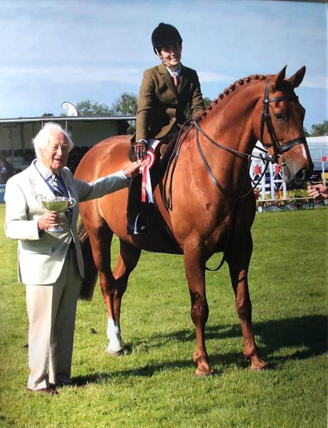 How Very Horsey