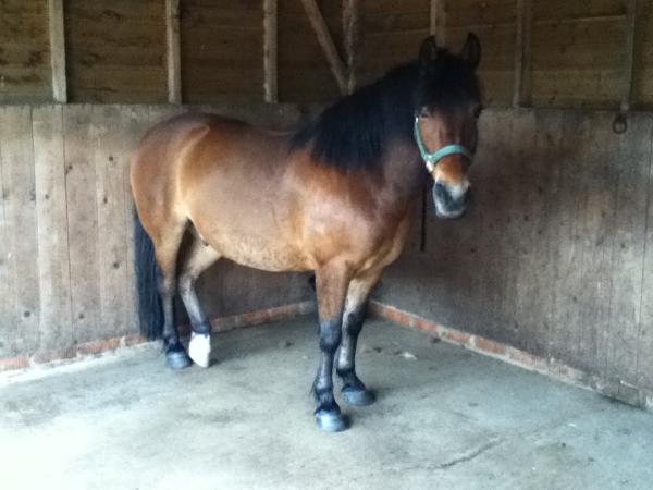 Brookhouse Farm Riding School