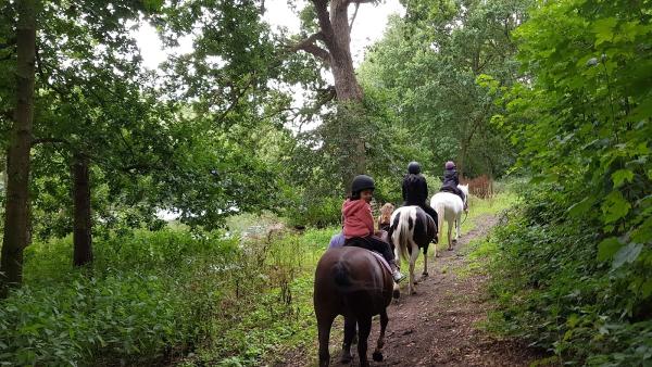 Squirrel Wood Equestrian Centre