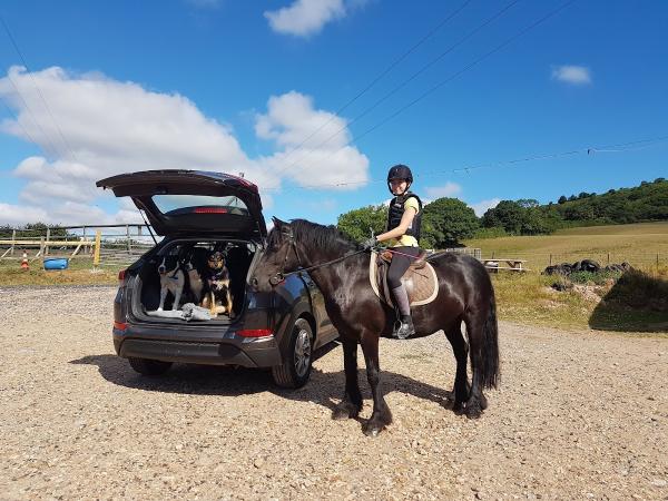 Sidmouth Riding DIY Livery