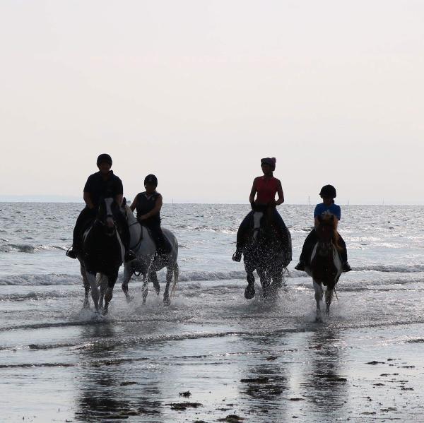 Greatham Equestrian Centre