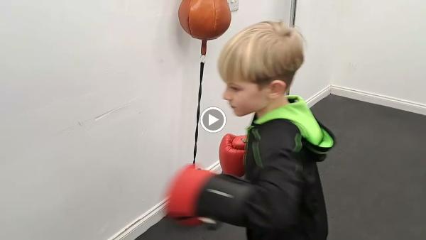 Warta School of Boxing