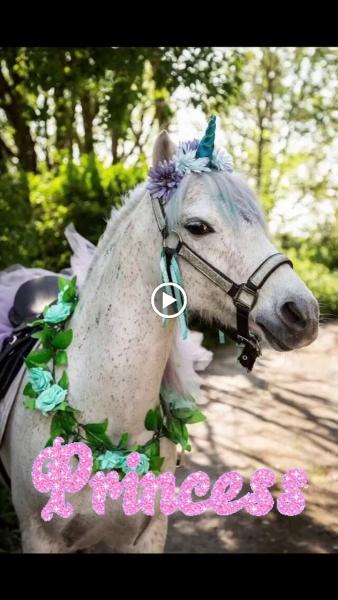 Princess the Unicorn and Friends