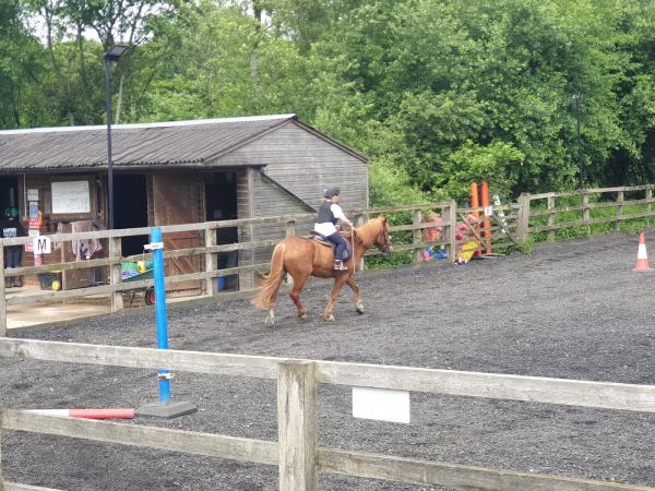 Glebe Field Riding School and Equestrian Centre