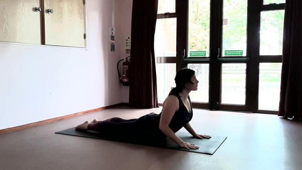 Trini Yoga