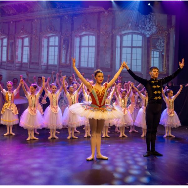 Dance Vision Ballet Company Associate Programme