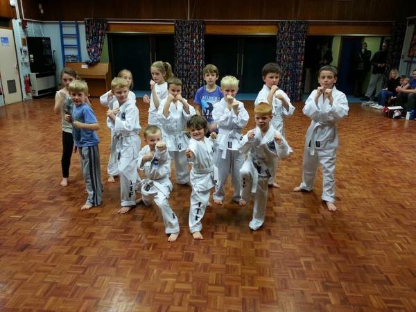 Little Winners Taekwon-Do Club