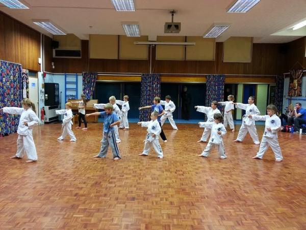 Little Winners Taekwon-Do Club