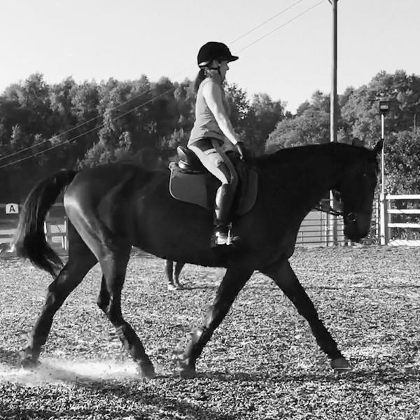 Hewshott Farm Stables