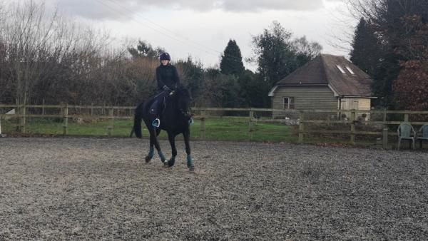 Hewshott Farm Stables