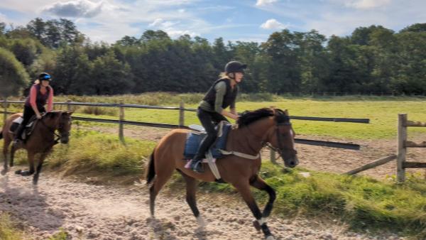 Shovelstrode Racing Stables (Andy Irvine Racehorse Trainer)