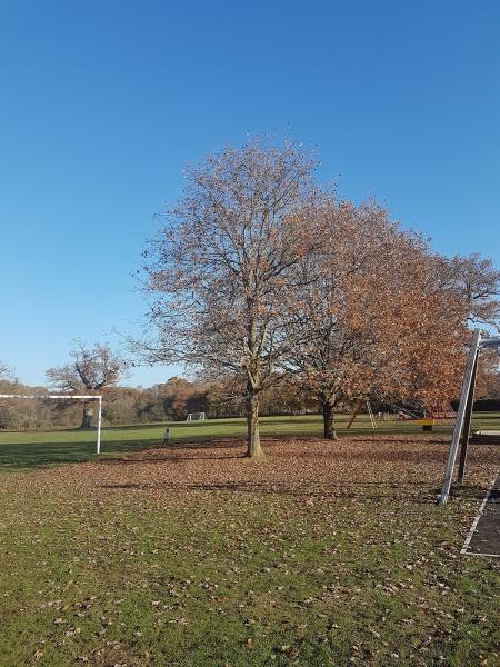 Elstead Village Tennis Club