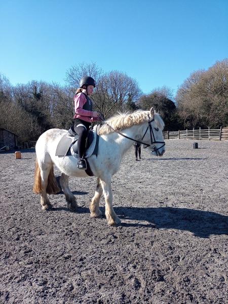 Engine Common Riding School