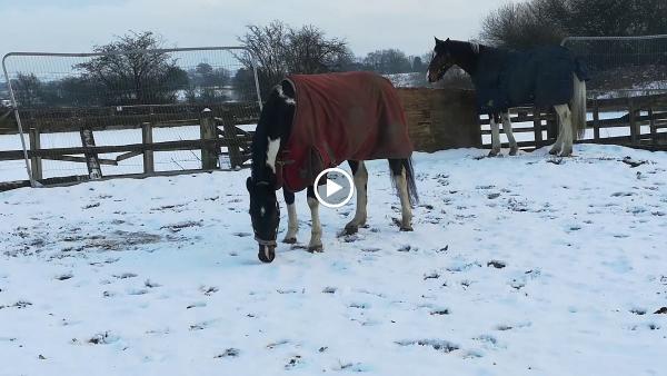 Brookfield Equestrian Centre