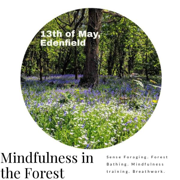 Mindfulness Lab