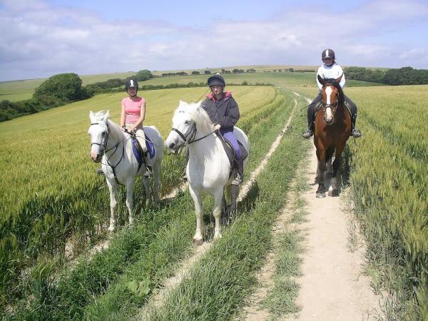 The Chestnuts Riding School