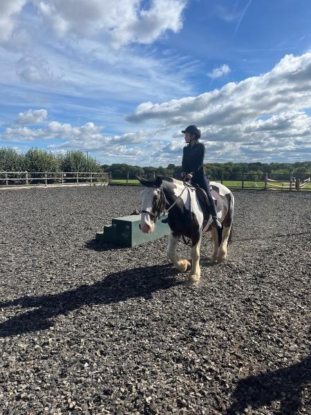 Grove Riding School and Livery Yard