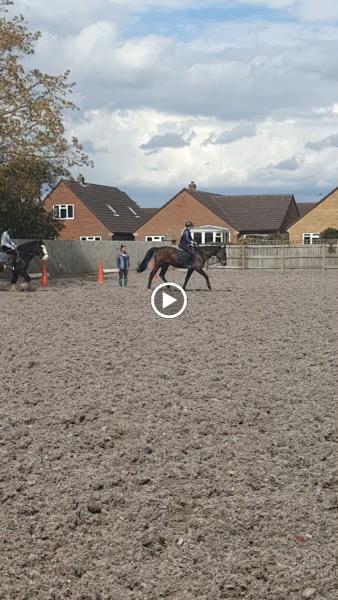 Bleach Yard Stables