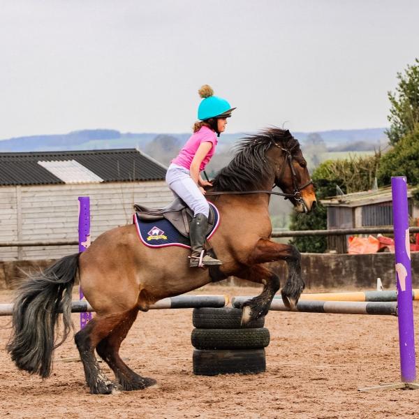 Cedar Farm Stables