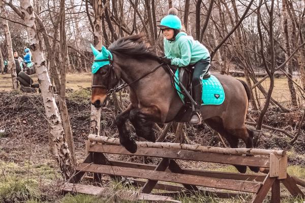 Cedar Farm Stables