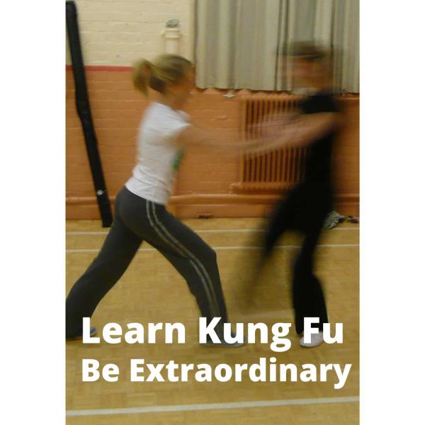 Jade Dragon School of Kung Fu and Tai Chi