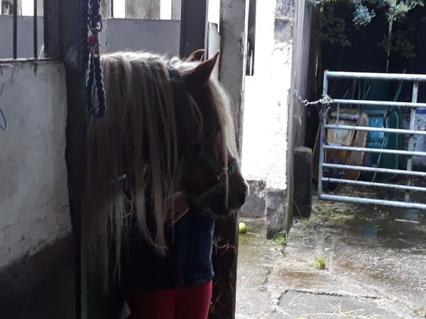 Tarbock Green Riding School