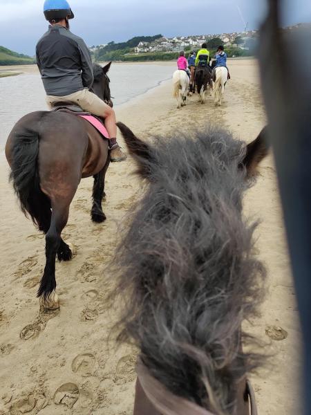 Newquay Riding Stables