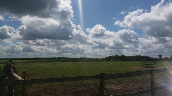 Silverdown Stables & Livery Yard