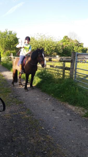 Silverdown Stables & Livery Yard