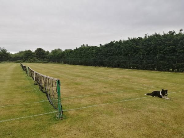 Oxford City Tennis Club