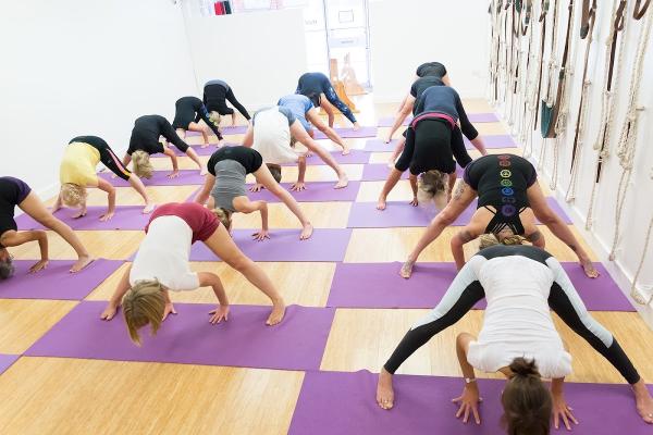 Maidstone Iyengar Yoga Centre