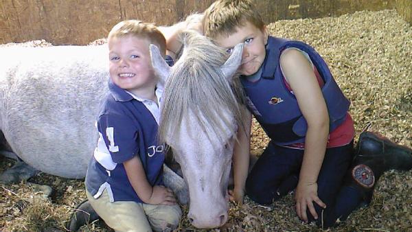 Broad Carr Riding School