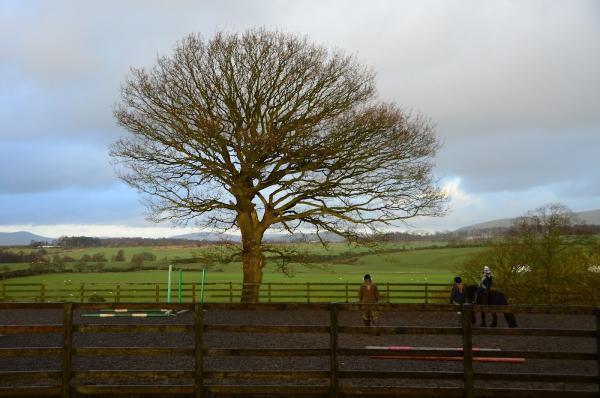 Tapitlaw Riding School