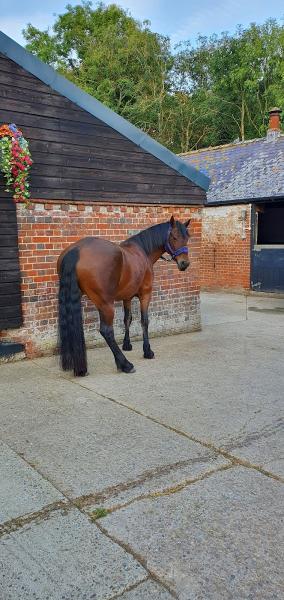 Ferry Farm Livery Yard