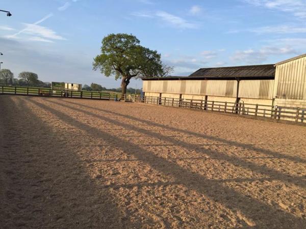 Old Hall Farm & Livery