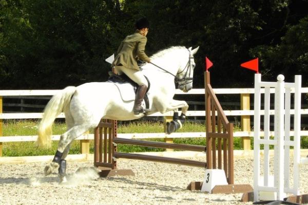 Confident Equestrians